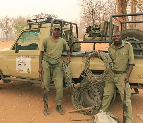 CHARARA SAFARI AREA: ZAMSOC BEGINS ASSISTANCE TO ZIMPARKS
