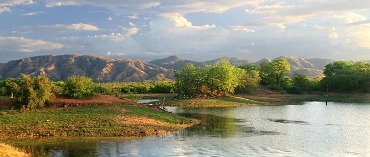 WE WELCOME AFRICAN PARKS TO THE MATUSADONA AND THANK THOSE WHO HAVE HELD THE FORT