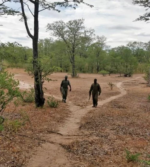 ON PATROL IN THE ZAMBEZI VALLEY - REPORTS FROM THE FIELD