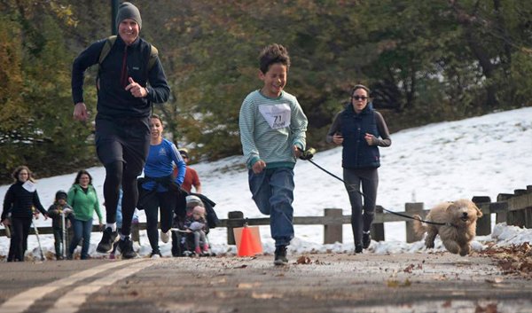 SAVING THE ELEPHANTS FUND-RAISER A GREAT SUCCESS - IN NEW YORK AND HARARE