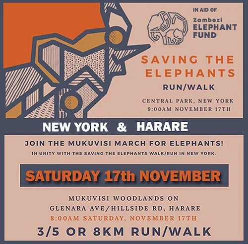 WALK OR RUN FOR ELEPHANTS: 17 NOVEMBER 2018