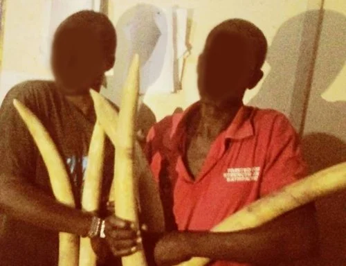 POACHING DOWN. ARRESTS UP. WE REMAIN ALERT