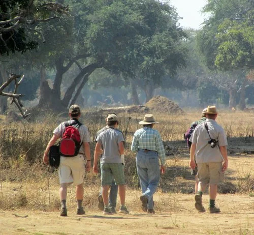 NO UNGUIDED WALKING IN MANA POOLS NATIONAL PARK 