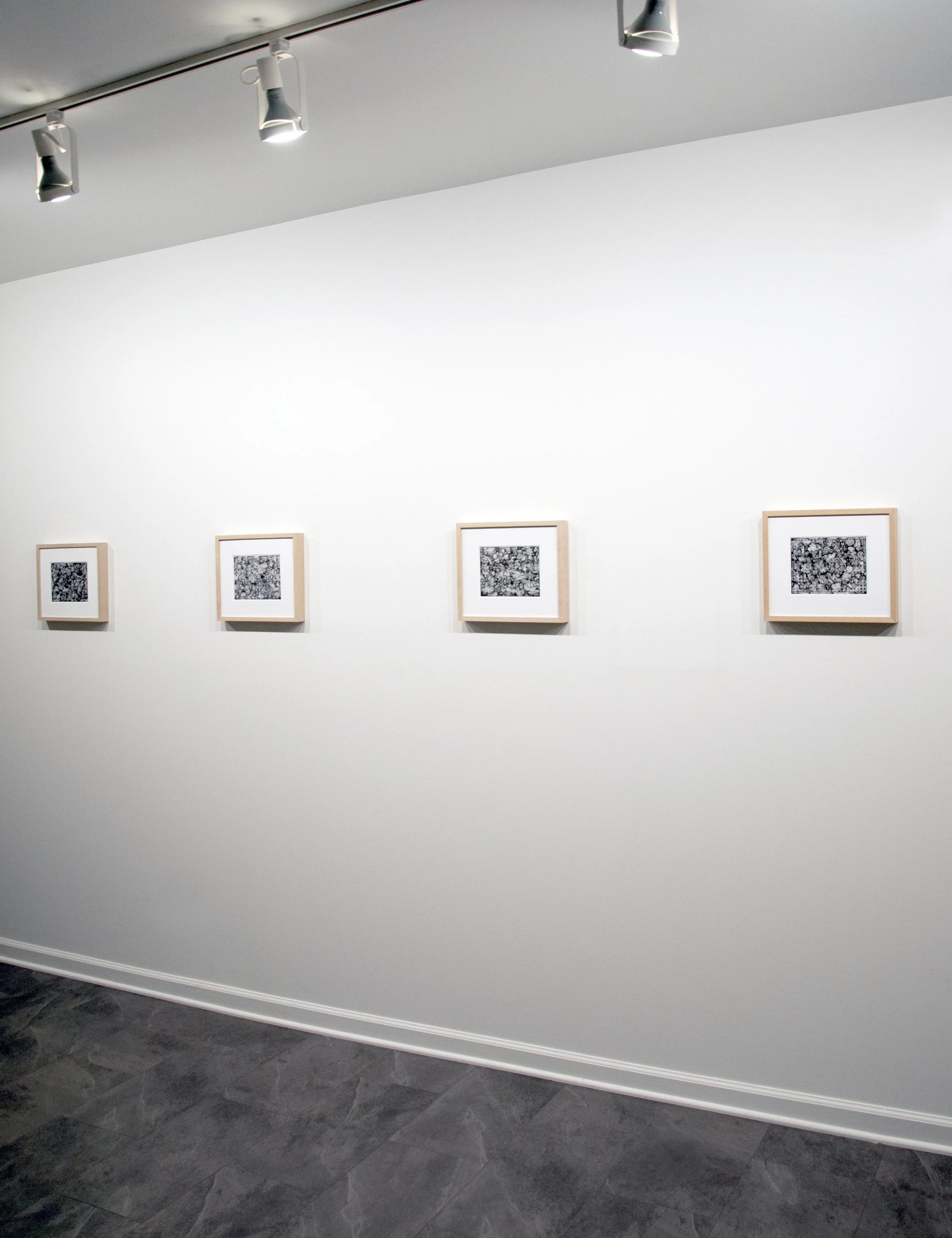 Exhibition view of Adaptation by Artist Evan McLaughlin