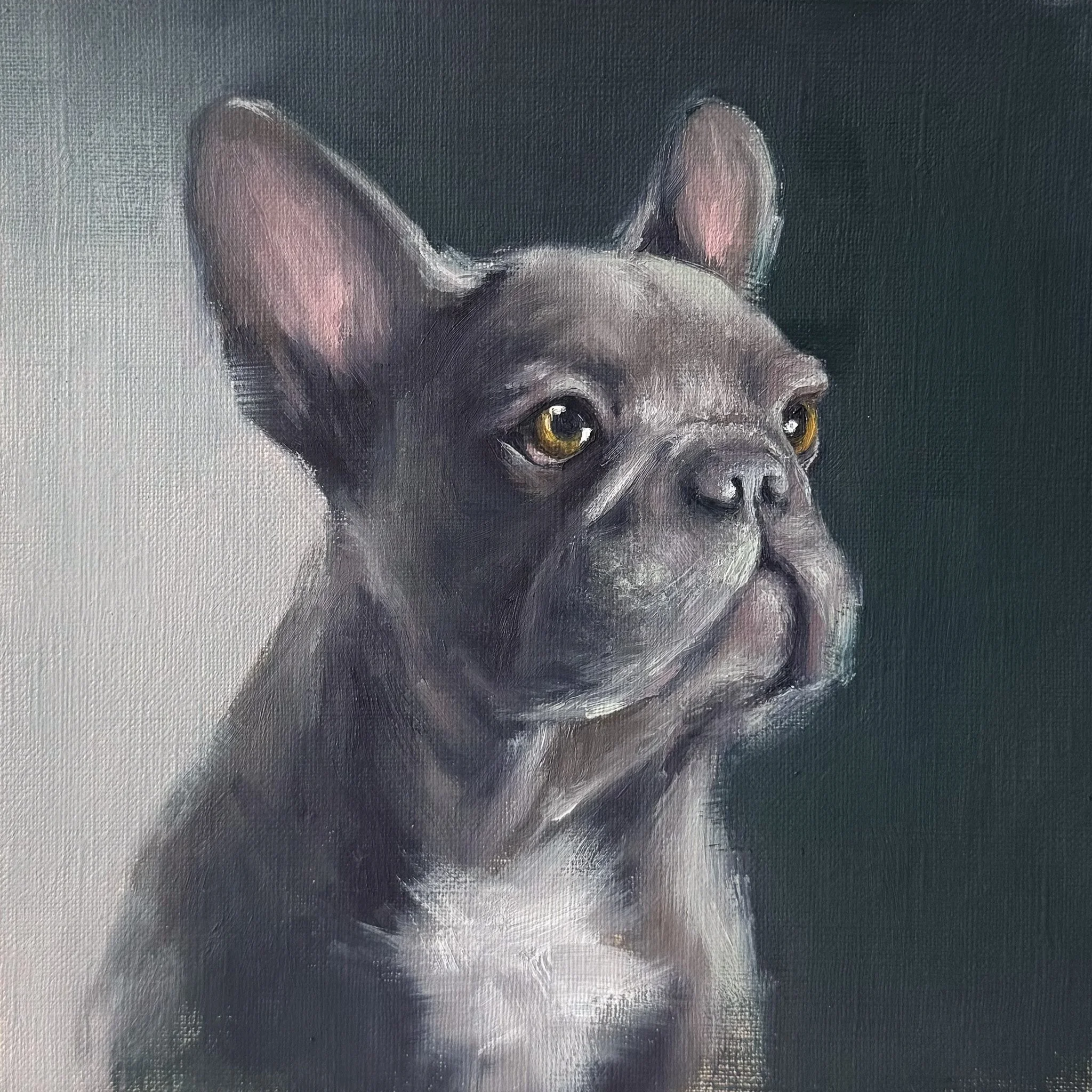 Portrait of a French Bulldog painted in a realistic style, with dark fur, large ears, and expressive eyes, facing slightly to the right.