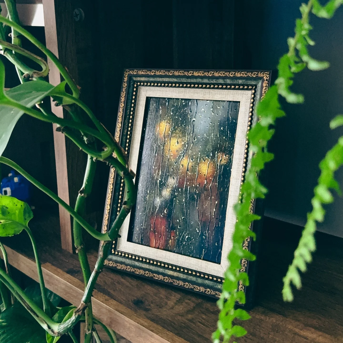 One of the series placed in a calm, sunlit corner. The 5&times;7 miniature oil on Georgian paper fits naturally among books, ceramics, and subtle textures. Hand-framed in vintage wood &mdash; designed to bring quiet moments of beauty into your home.