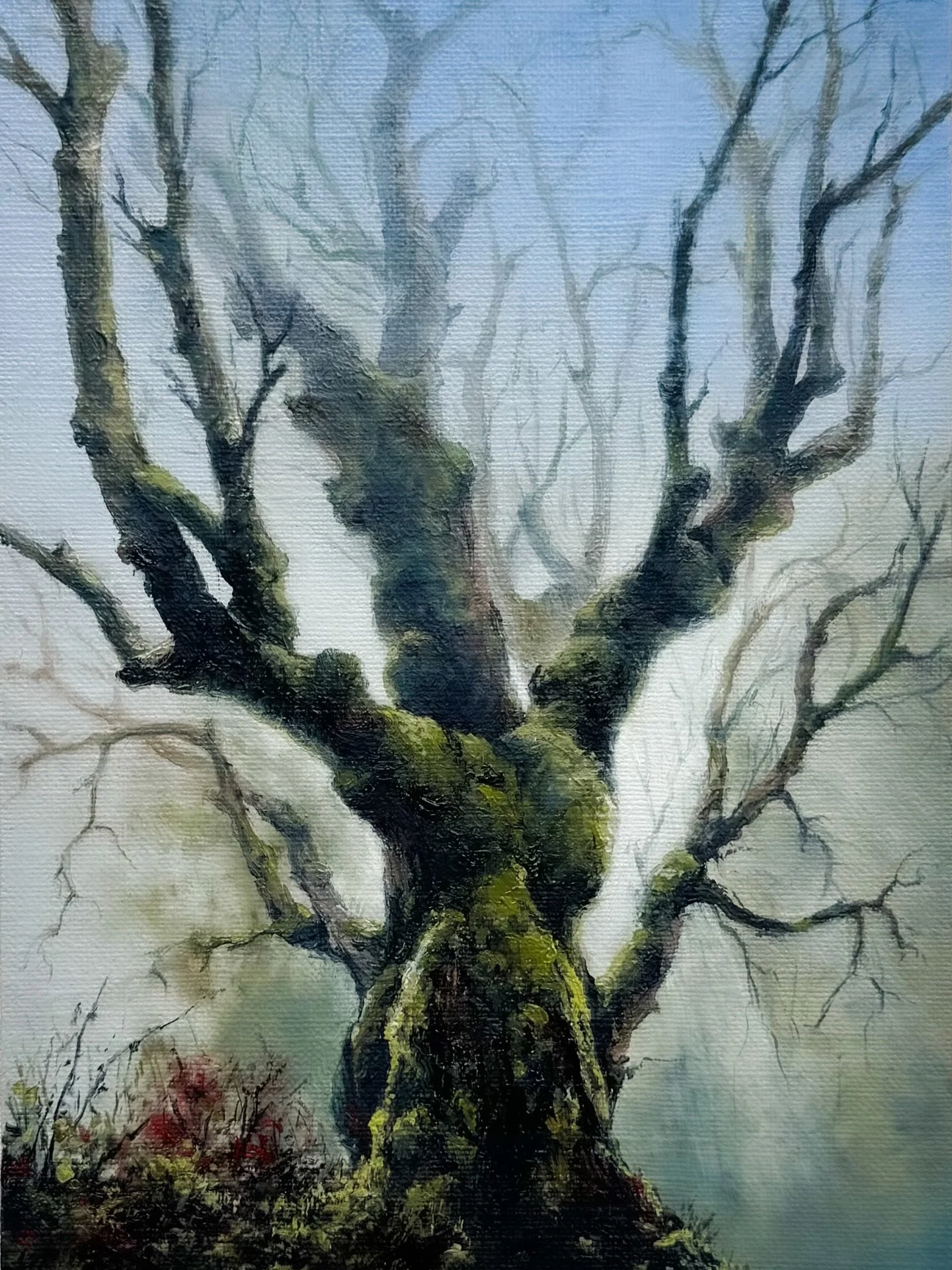 The process behind the Miniature Series.

Preparing Georgian oil paper.
Mixing oils slowly, adjusting tones until they feel just right.
Building up layers, letting the colours settle into one another.
A subtle varnish to protect the surface and deepe