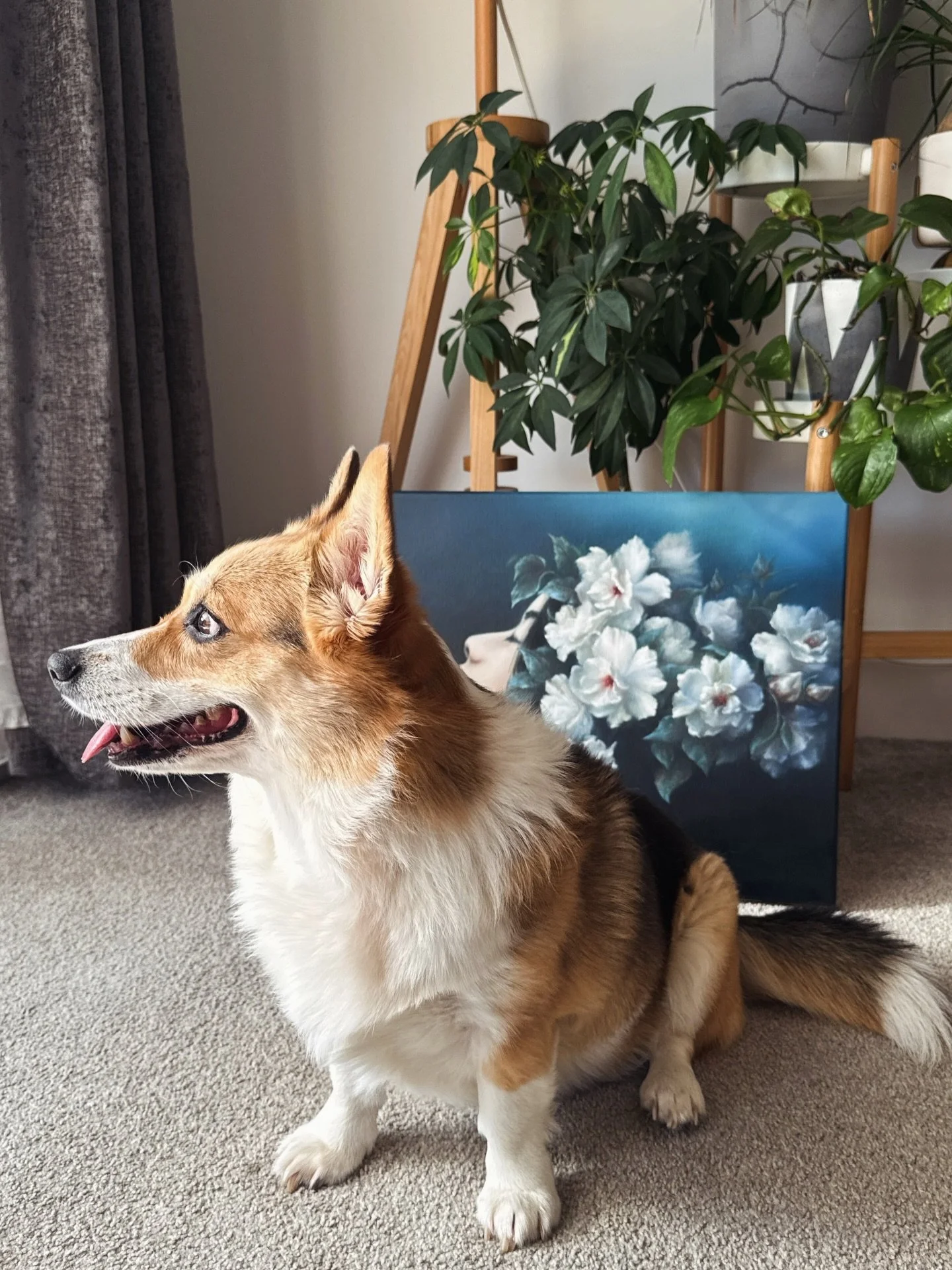 The best decisions in this painting weren&rsquo;t planned.

The teal background started as a mistake I was trying to fix. By the time I stopped fixing it, it had become the whole point. Against dark teal, the white flowers hold differently. More weig