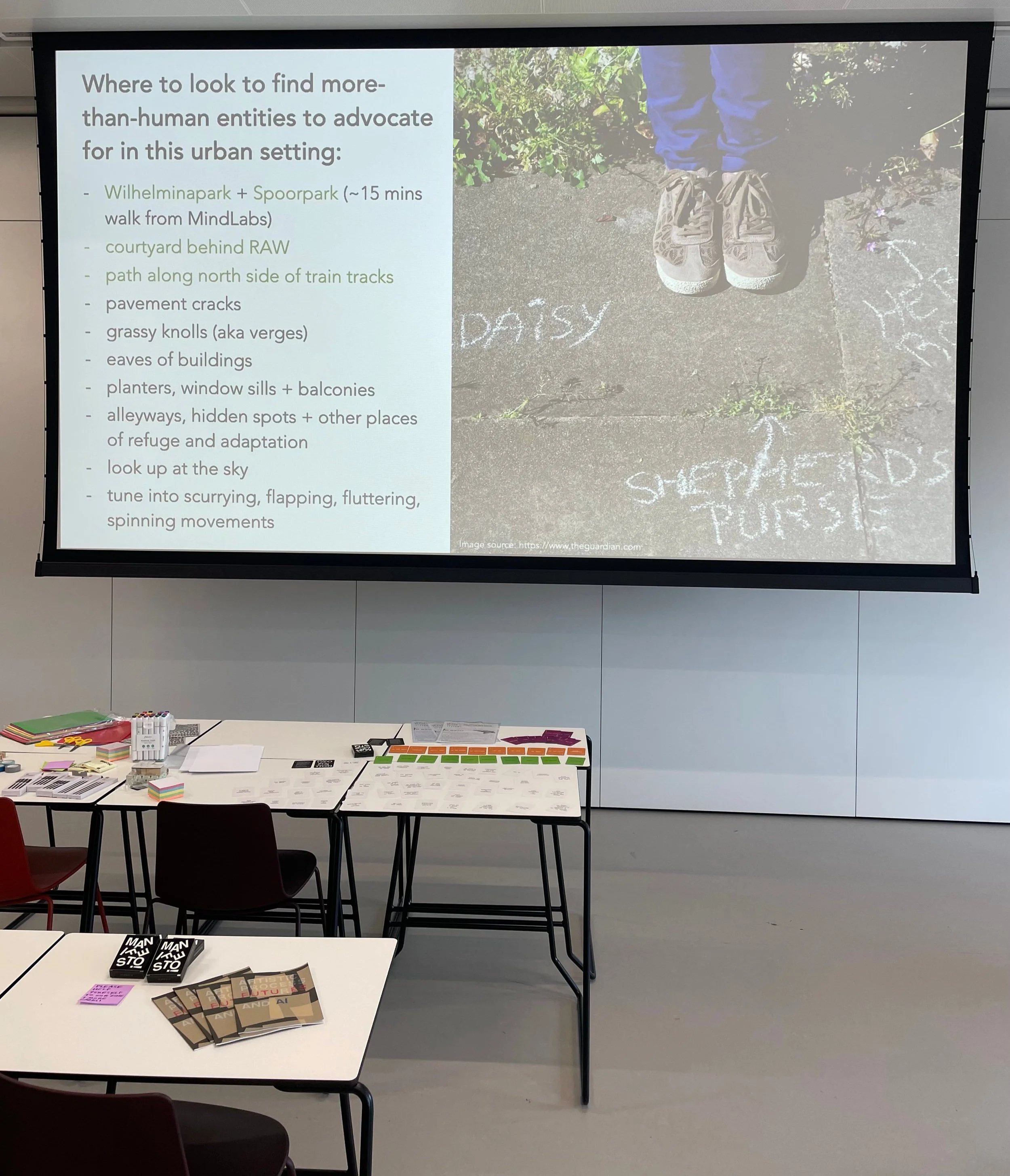 A classroom picturing including the PROVOCATION! and MANIFESTO! cards laid out as well as a slide containing recommendations on where to find more-than-human (non-human) entities in urban settings