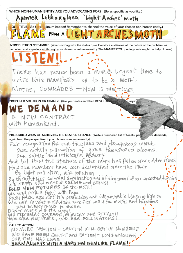 An example of a completed manifesto worksheet from a moth's perspective. This example was created by one of the researchers and served as inspiration for the scholars.