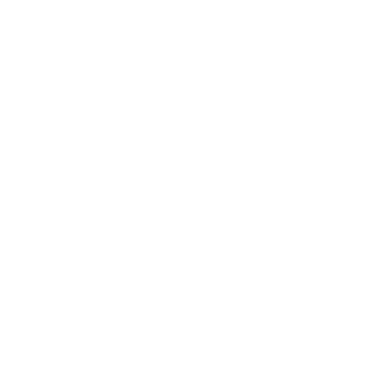 Copy Decu S L