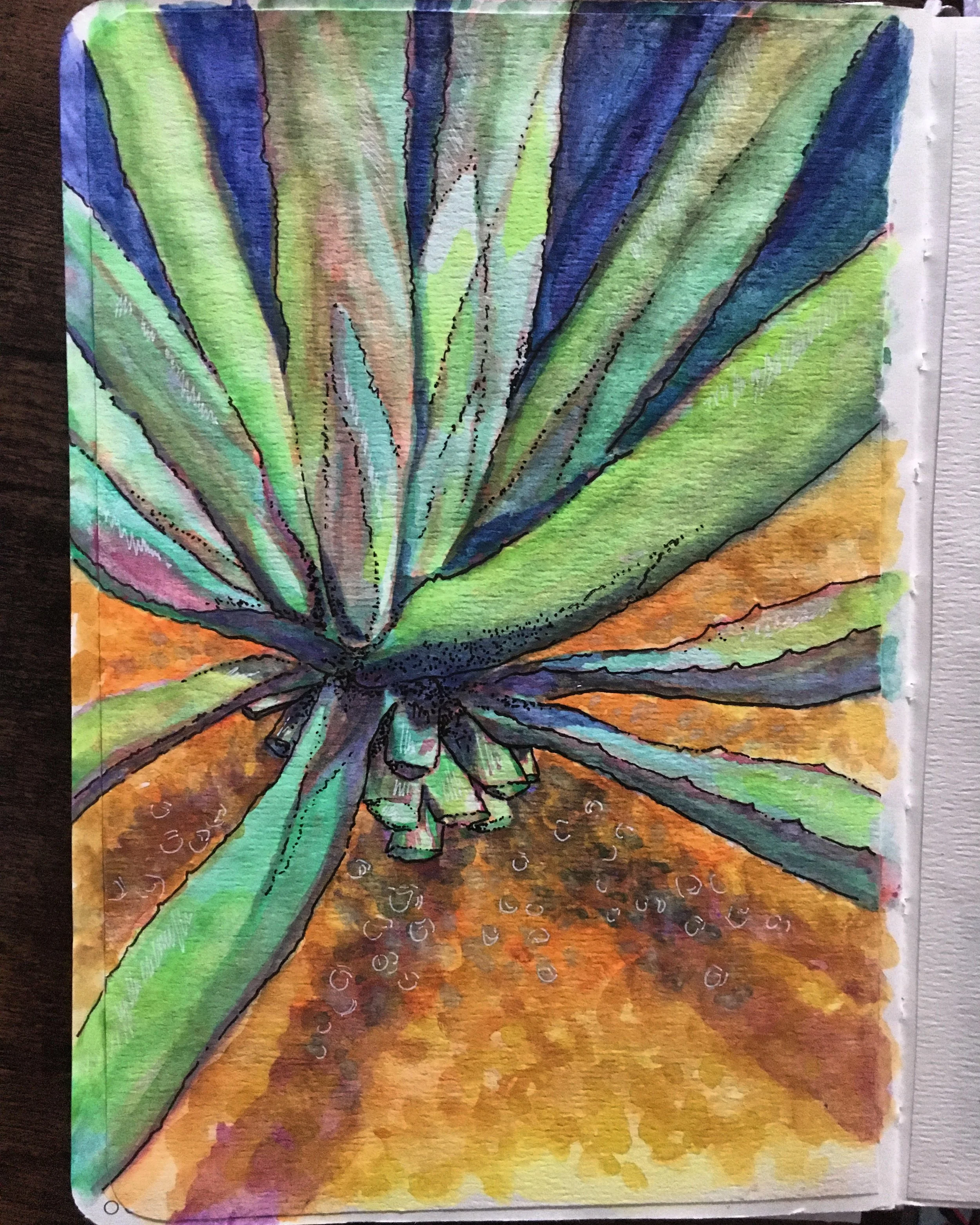 agave.jpg