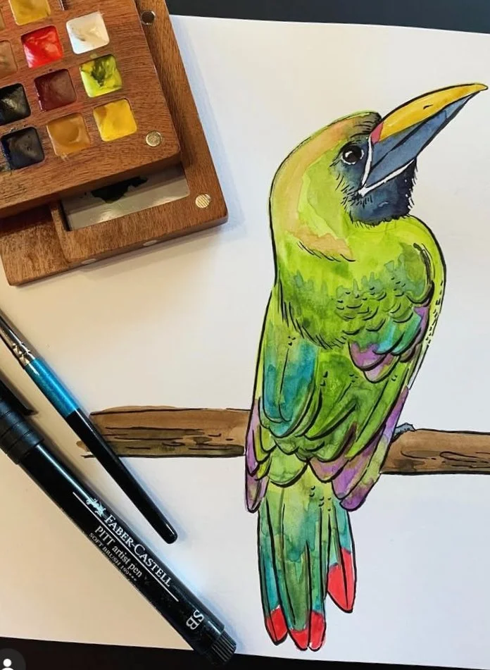 parot.jpeg