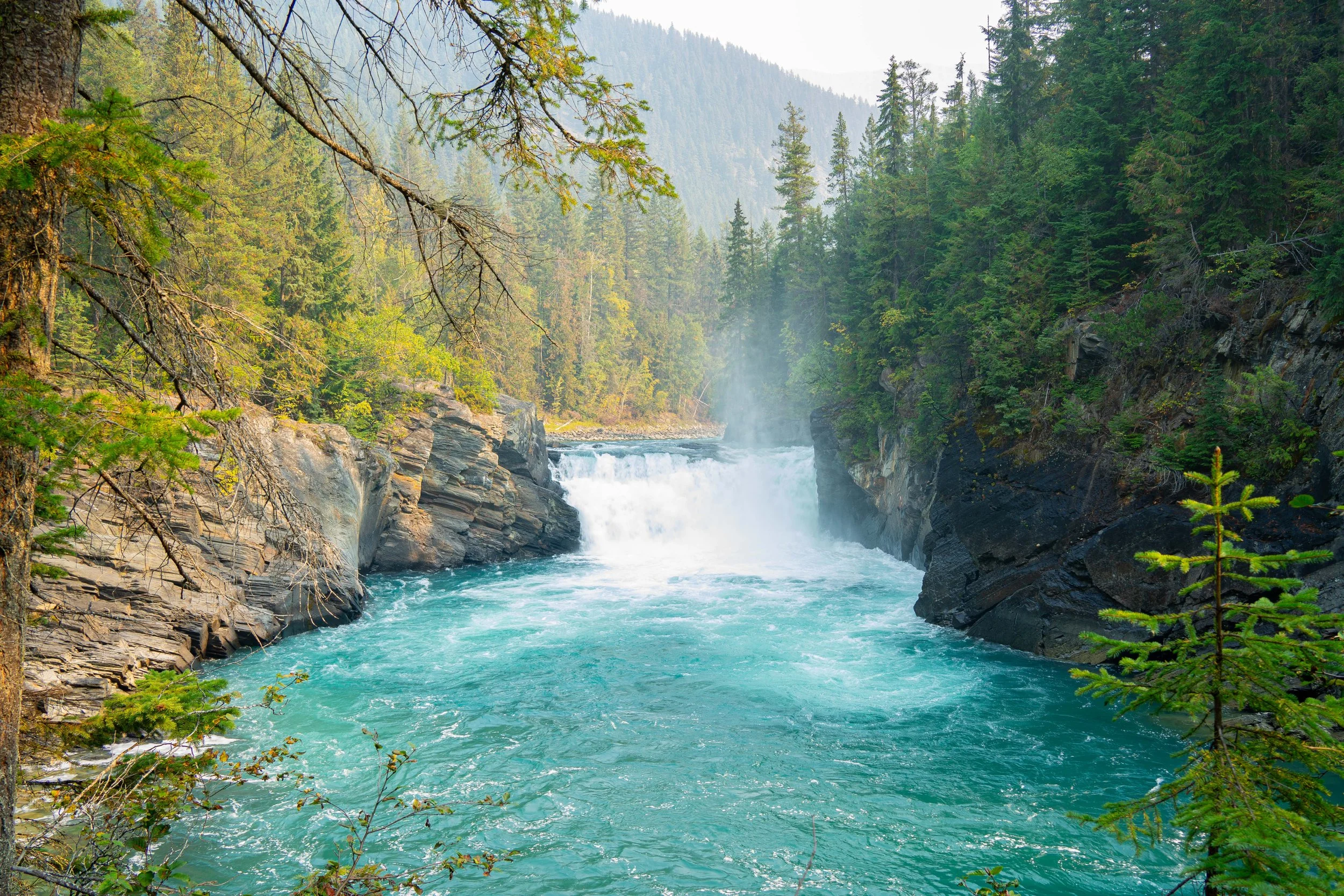 Canada-Screen-302.jpg
