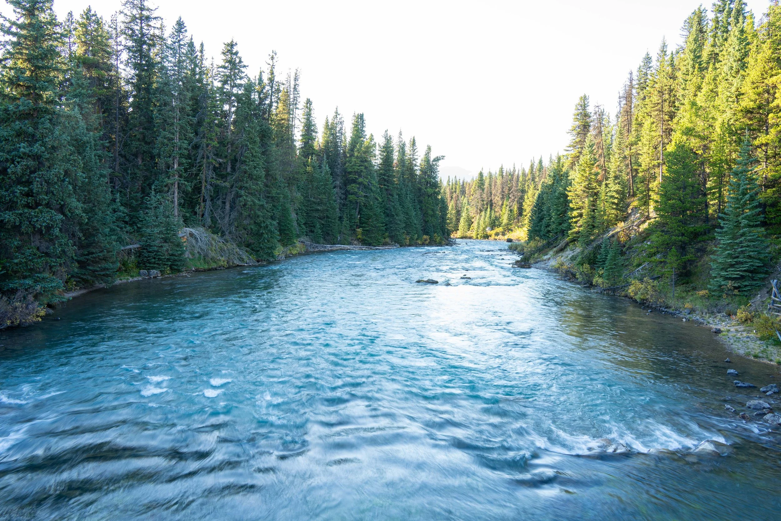 Canada-Screen-268.jpg