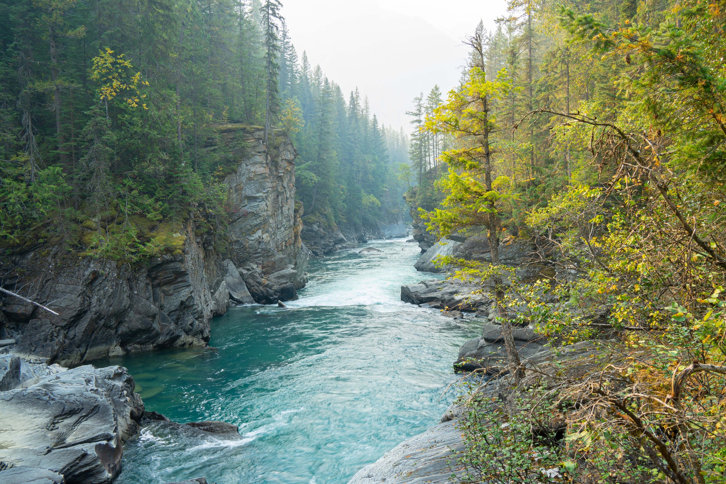 Canada-Screen-304.jpg