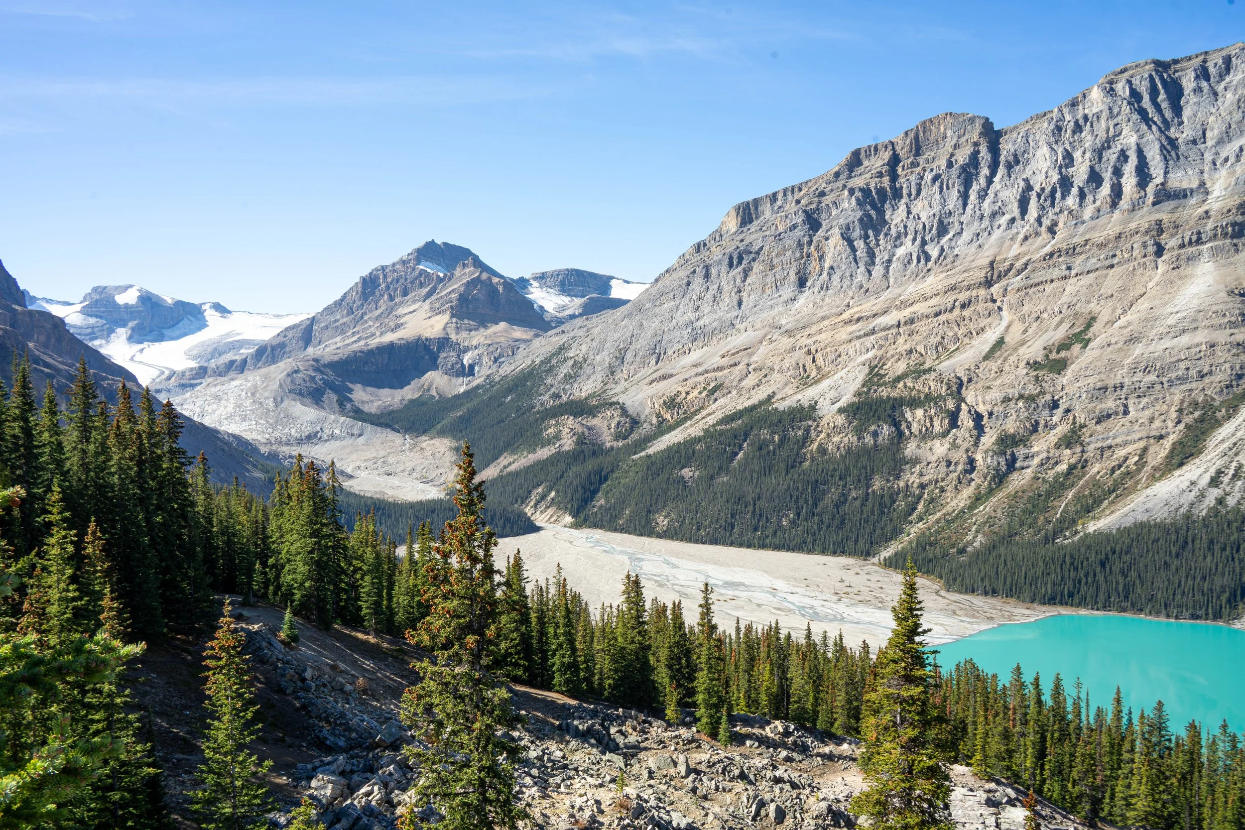 Canada-Screen-208.jpg
