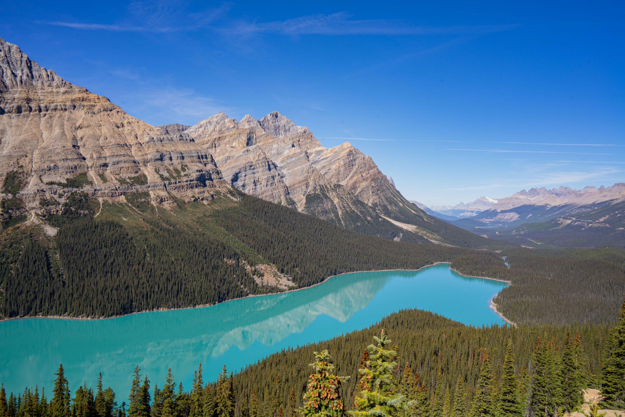 Canada-Screen-204.jpg