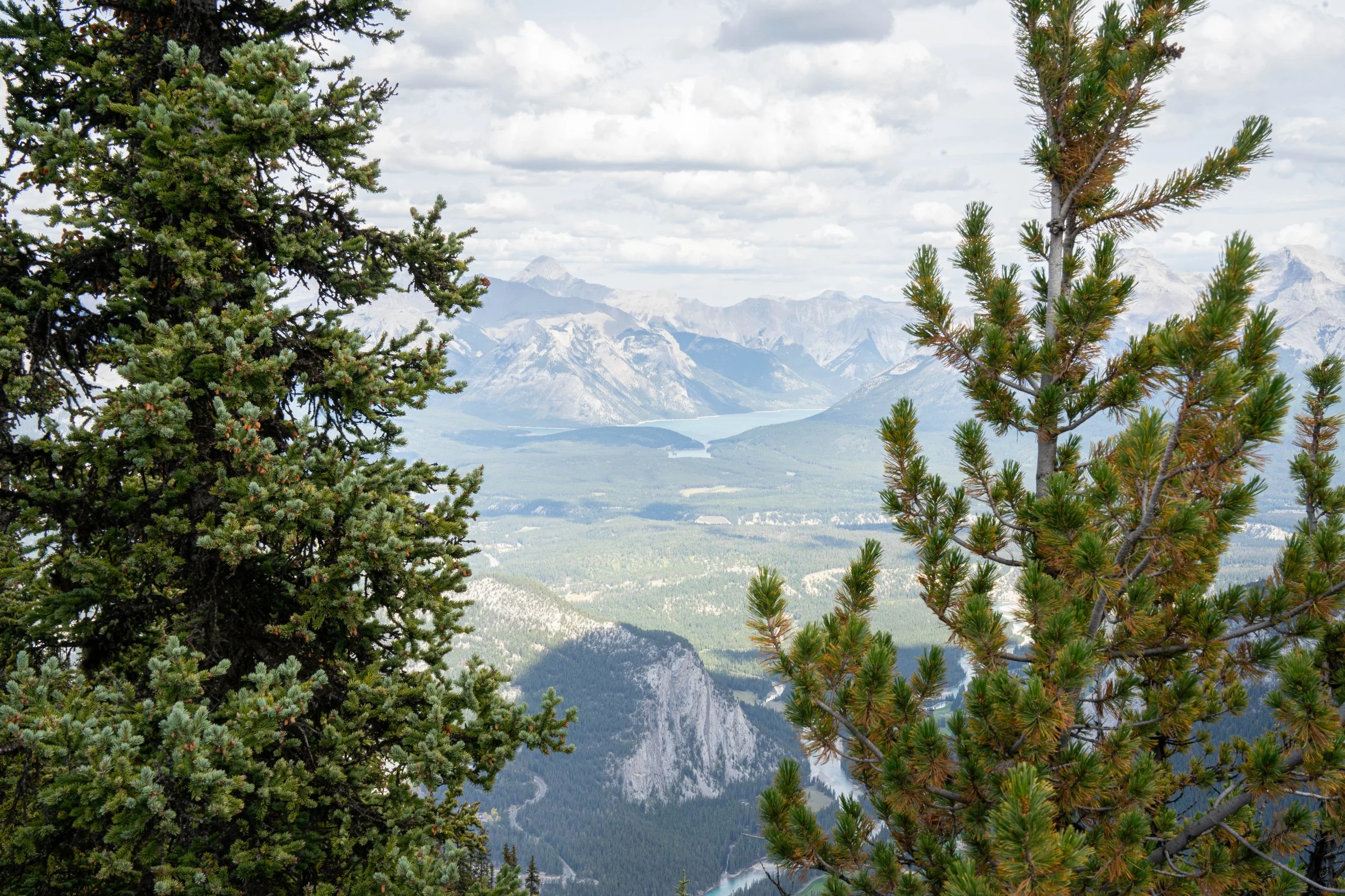 Canada-Screen-75.jpg