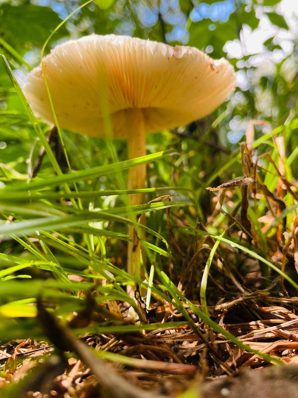 WhatsApp Image 2024-05-26 at 10.26.53.jpeg