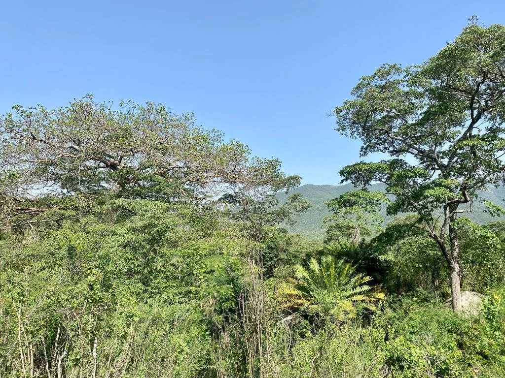 PHOTO-2022-05-19-14-11-49 (2).jpg