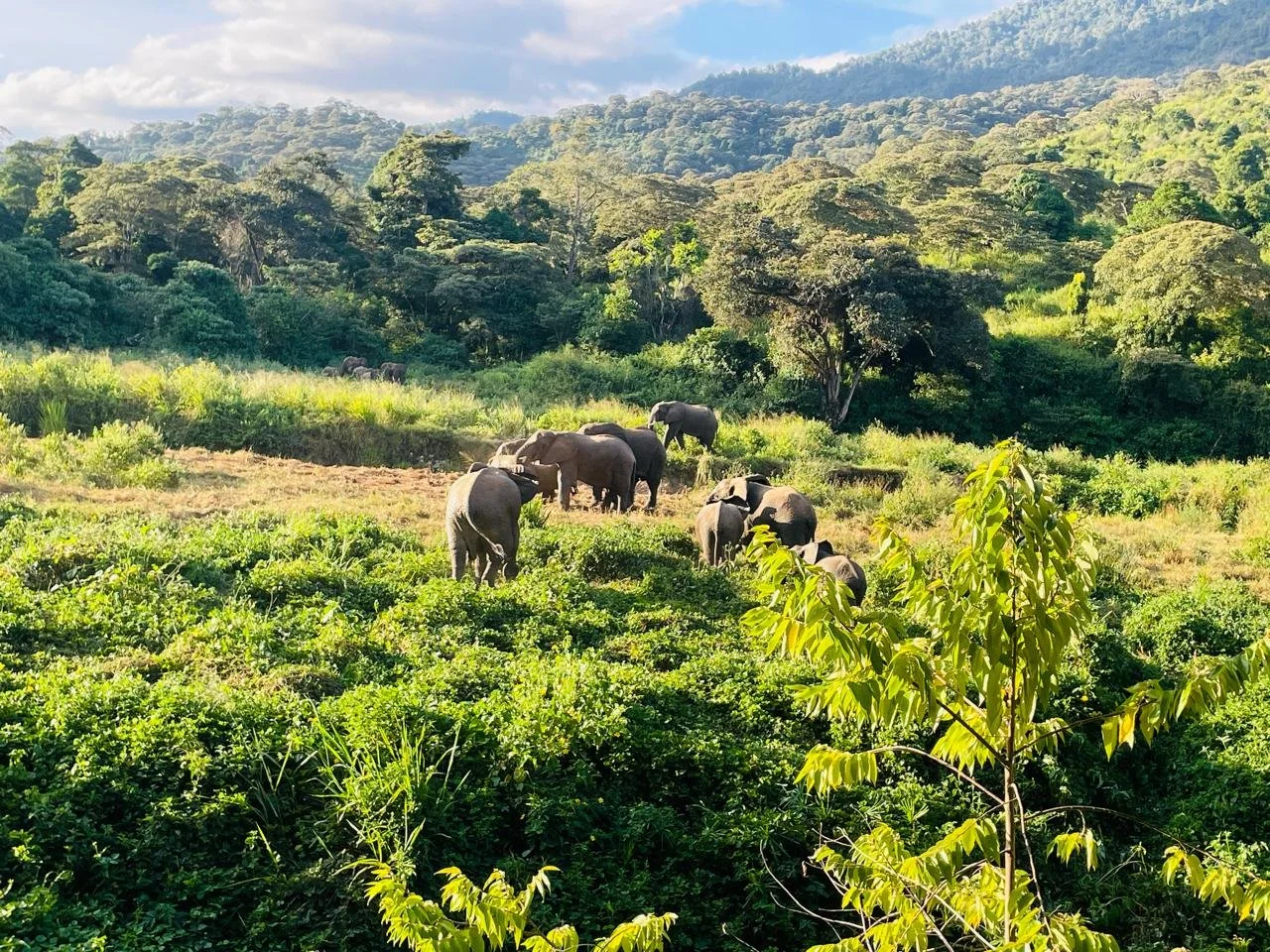 WhatsApp Image 2024-06-30 at 08.51.50.jpeg