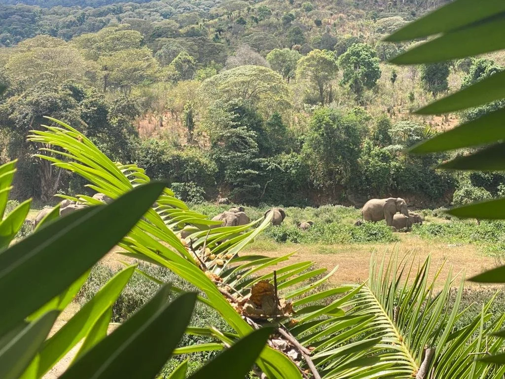 PHOTO-2022-12-07-11-20-18 (1).jpg