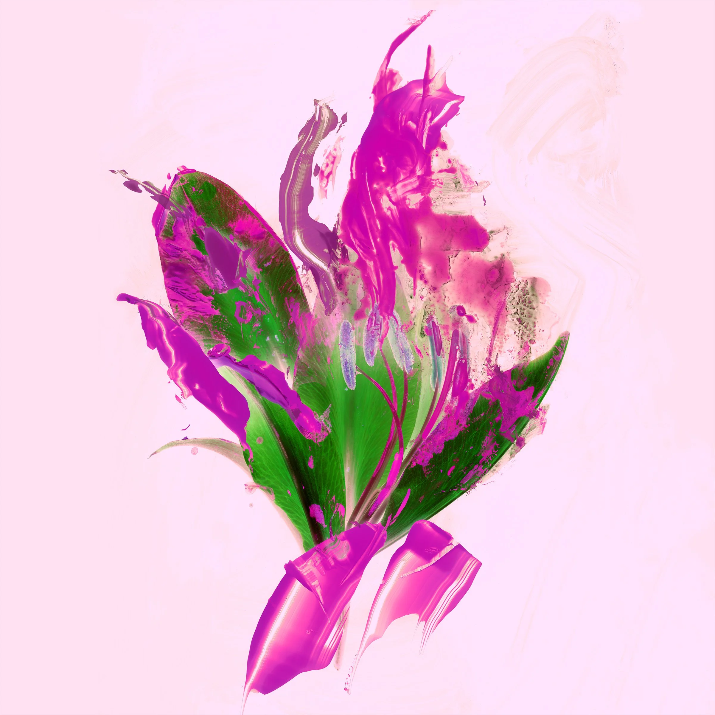 Lilies in Neon Pink 3-8x8inches 2.jpeg