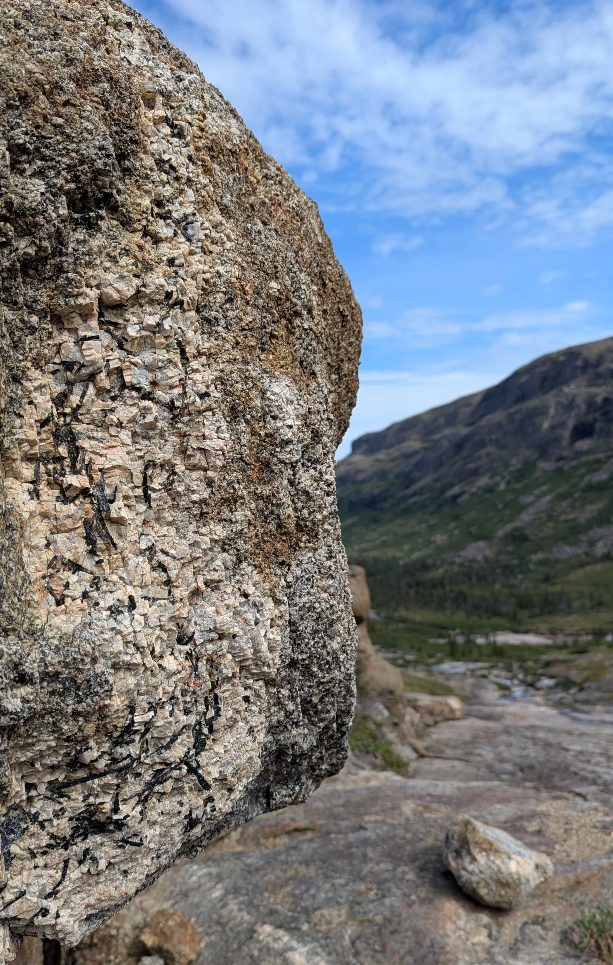 Elongated biotite within a pegmatite, Nain, Labrador