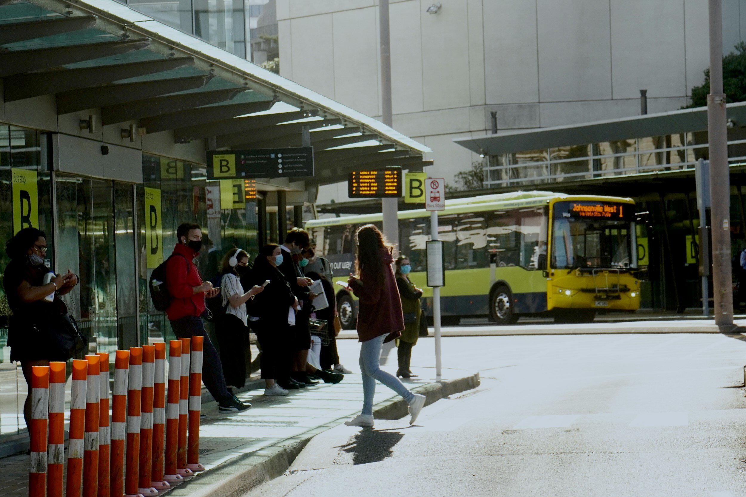 The job hunt chronicles: catching the bus to success