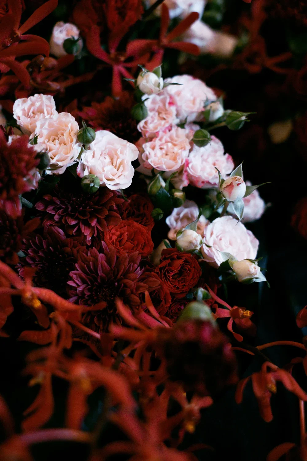 CRIMSON COUTURE