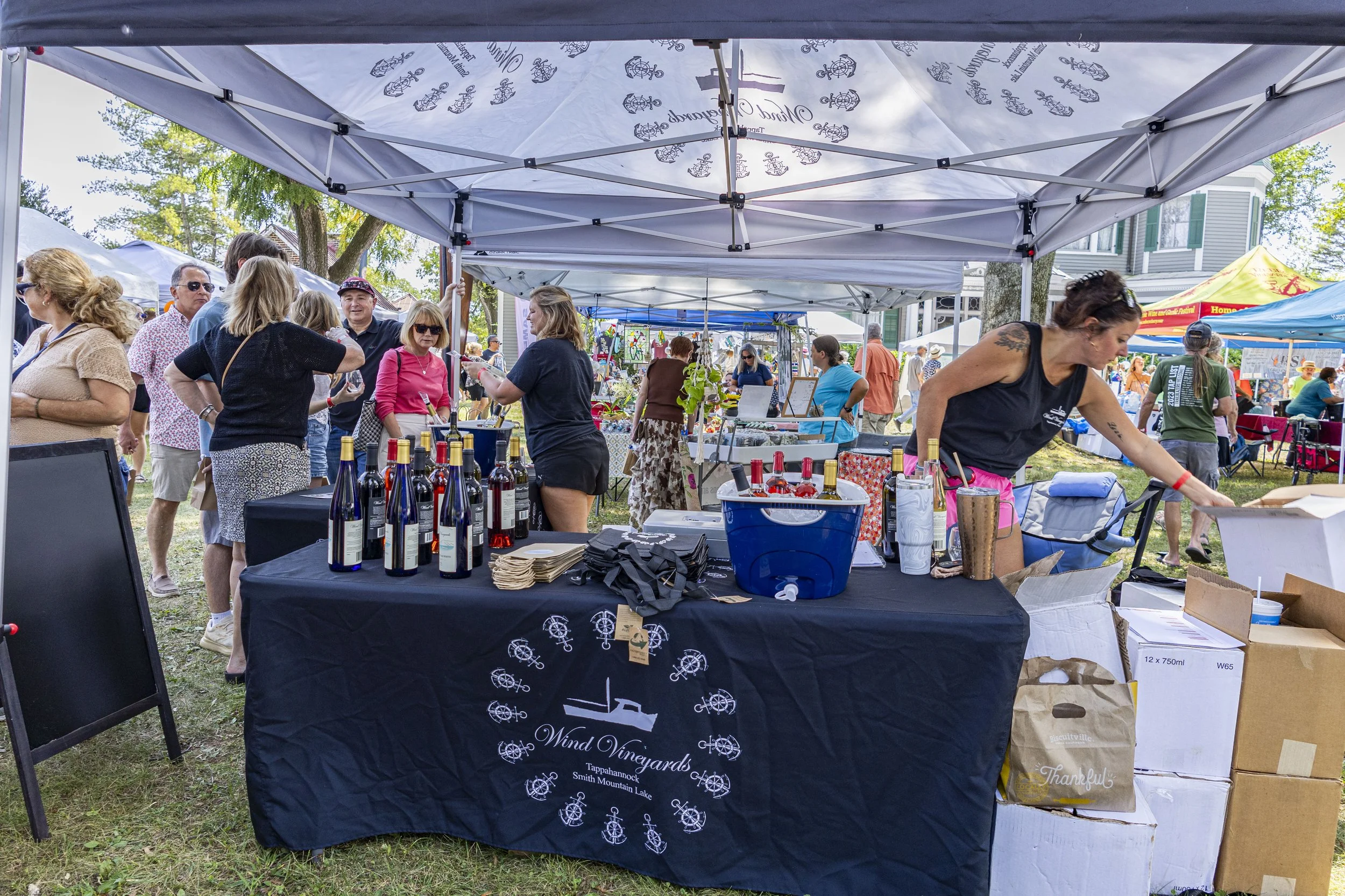 Copy of Wind Vineyards.JPG