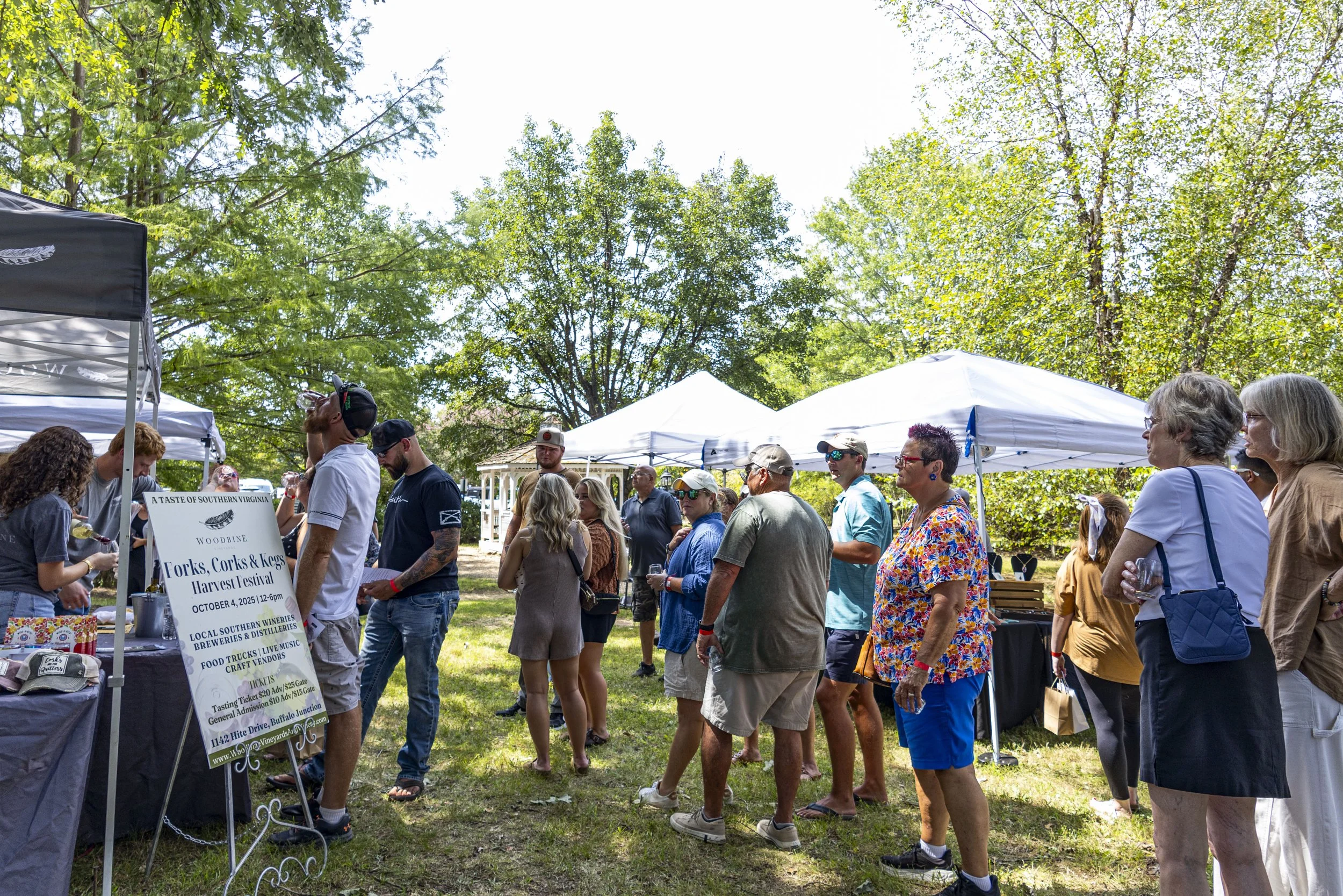 Copy of Woodbine Vineyards_01.JPG