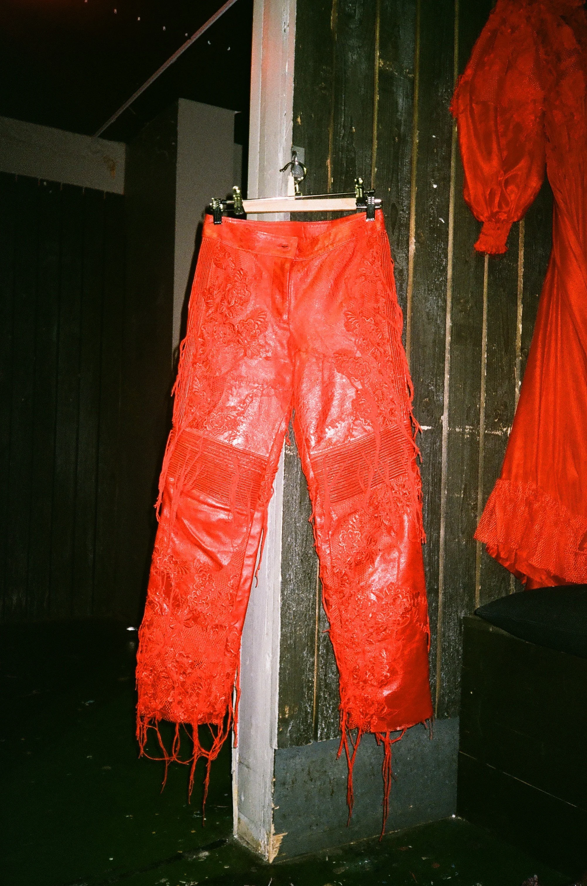 3_Psychotria Elata.jpg