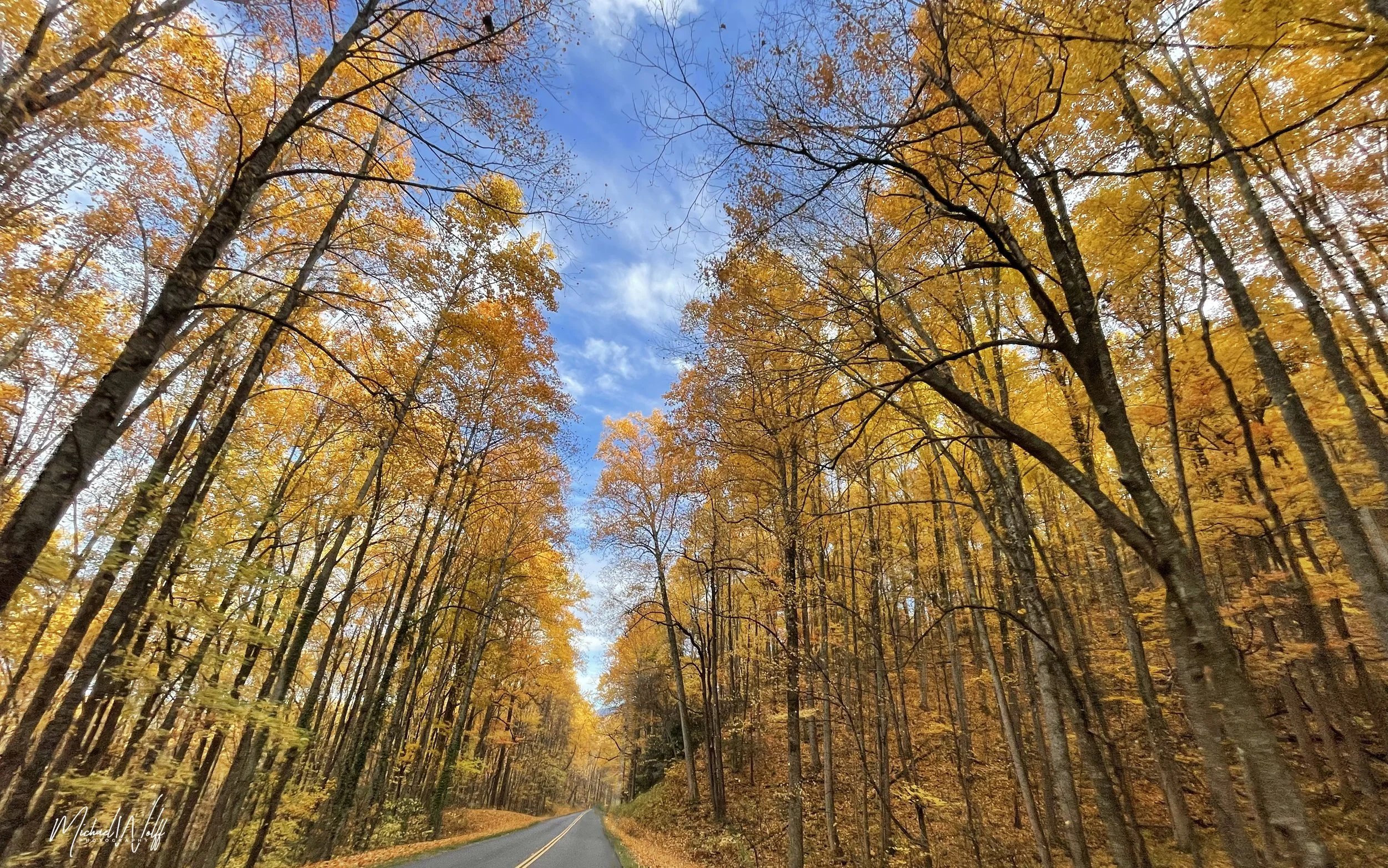 Smokys in the Fall.  Smoky Mountains National Park