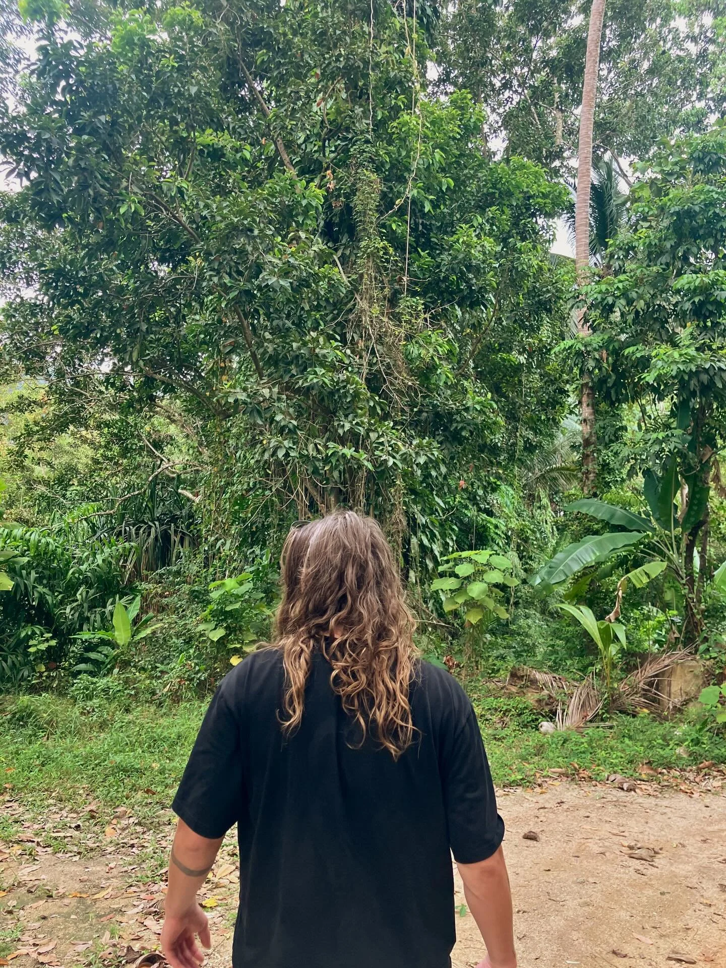 🤍🤍🤍🤍🤍 Thailand 🤍🤍🤍🤍🤍