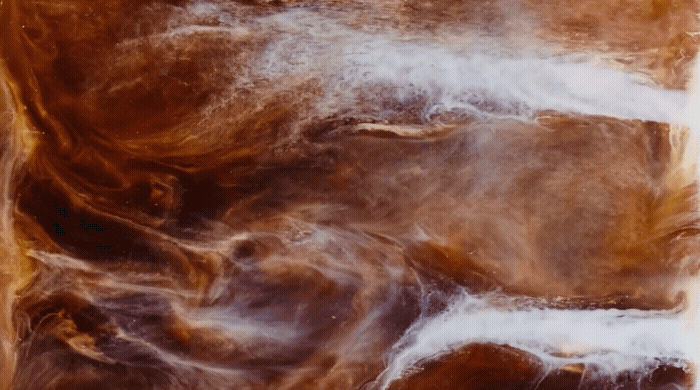 a close up of a brown and white substance.gif