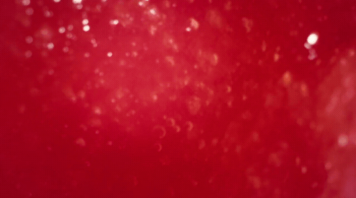 a close up of a red background with rain drops.gif