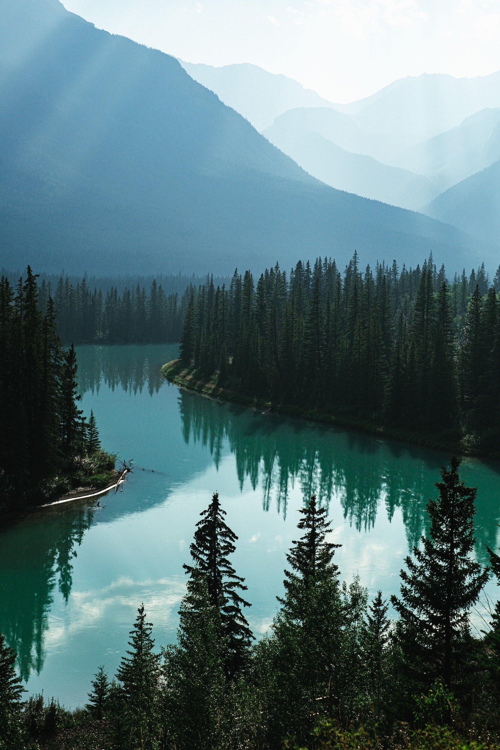 Canadian Business Plan Services