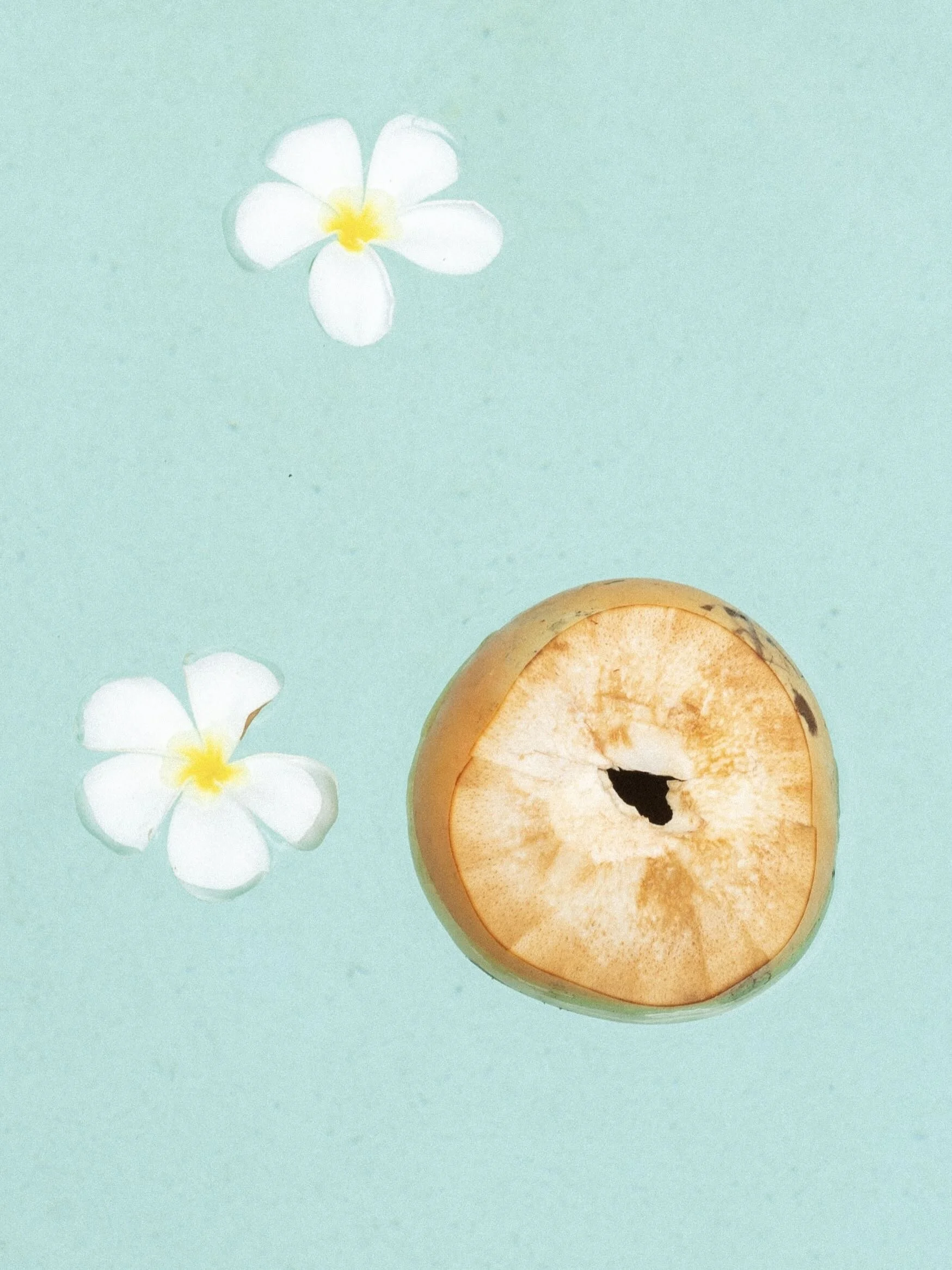 LOTUS BATCH 1-11.jpeg