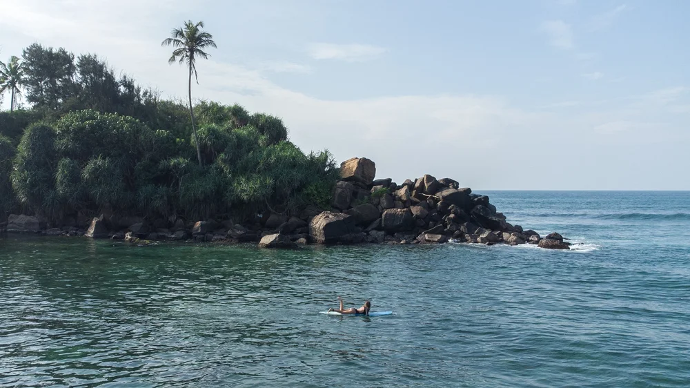 Lotus Surf & Wellness