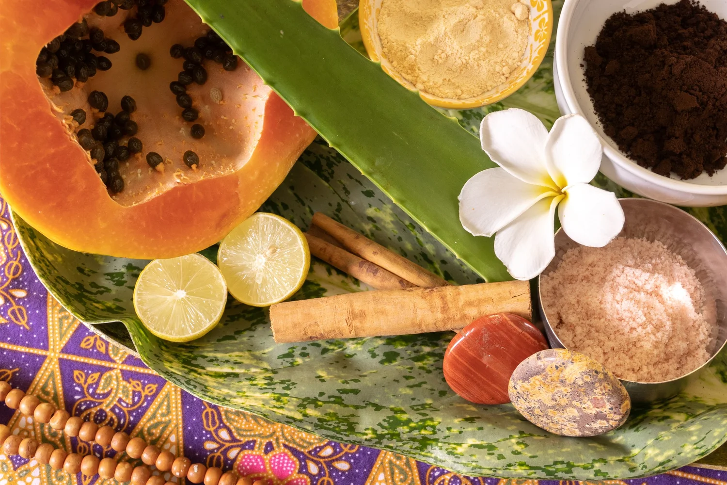 Lotus Surf & Wellness