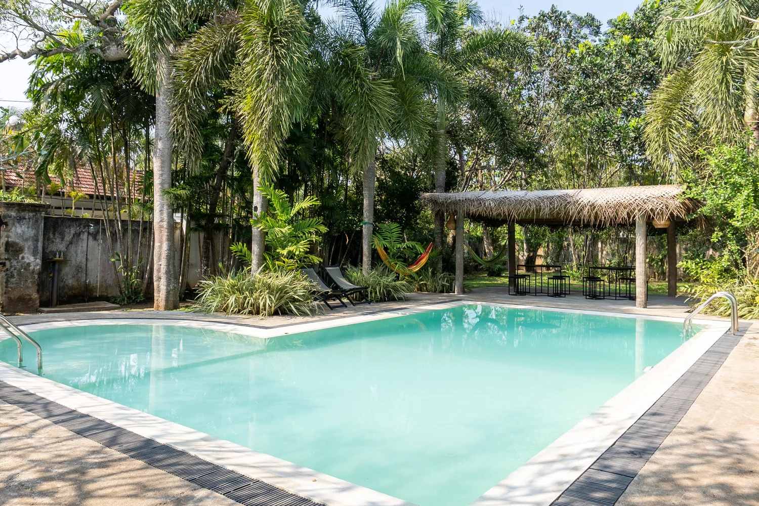 Lotus Surf & Wellness