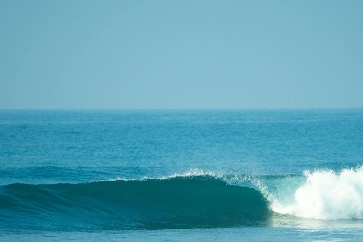 Lotus Surf & Wellness