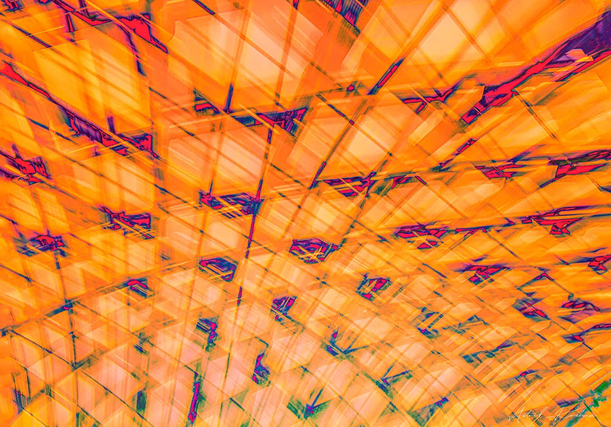 CONFUSION IV, 2020-100 x 70.jpg