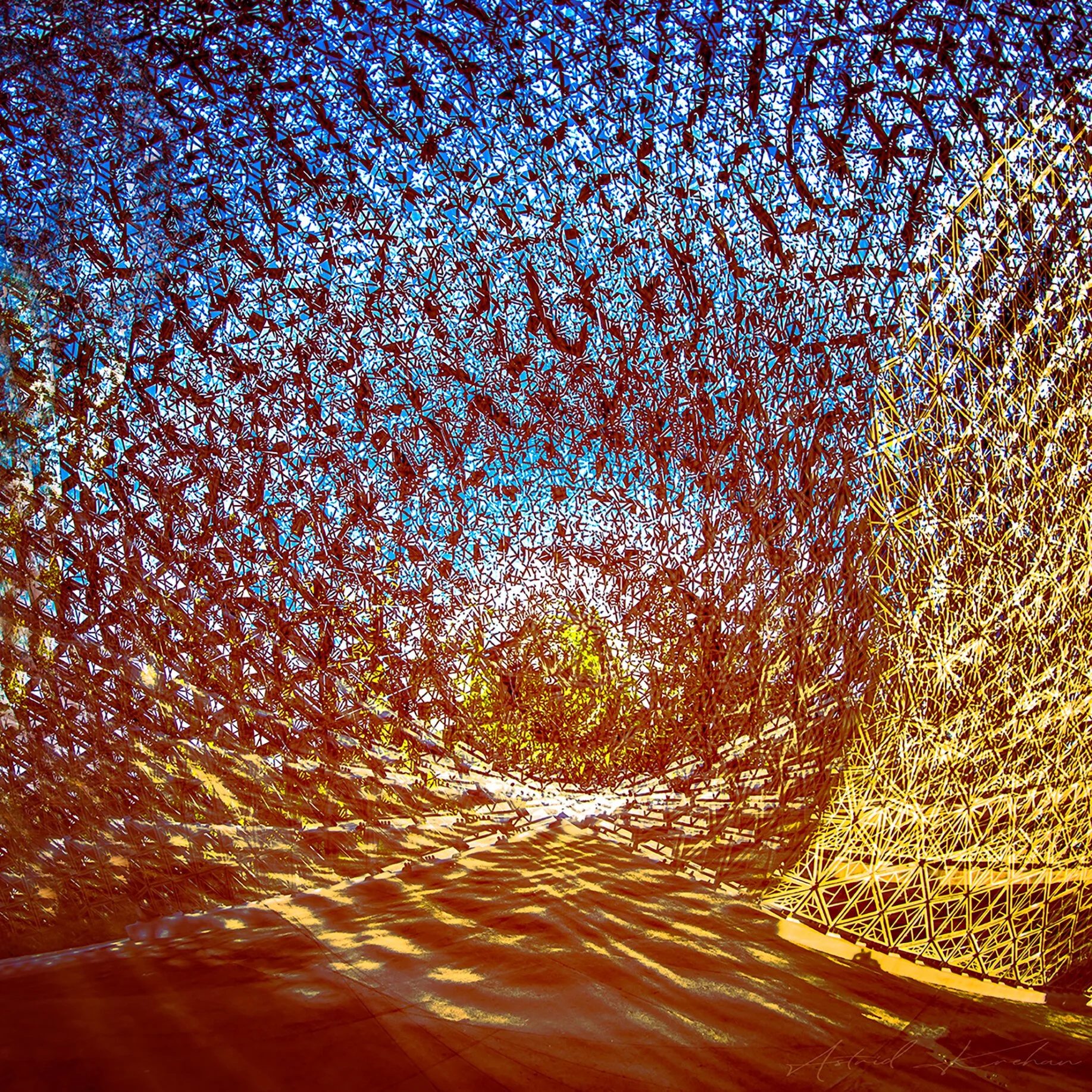 TRAPPED IV, 2020.jpg