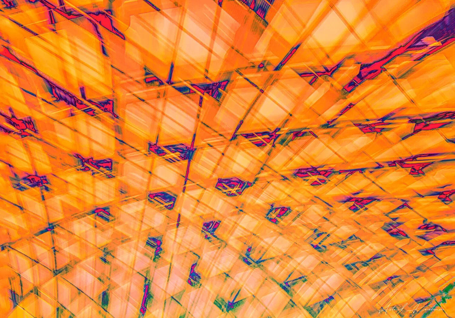 CONFUSION+IV,+2020-100+x+70.jpg