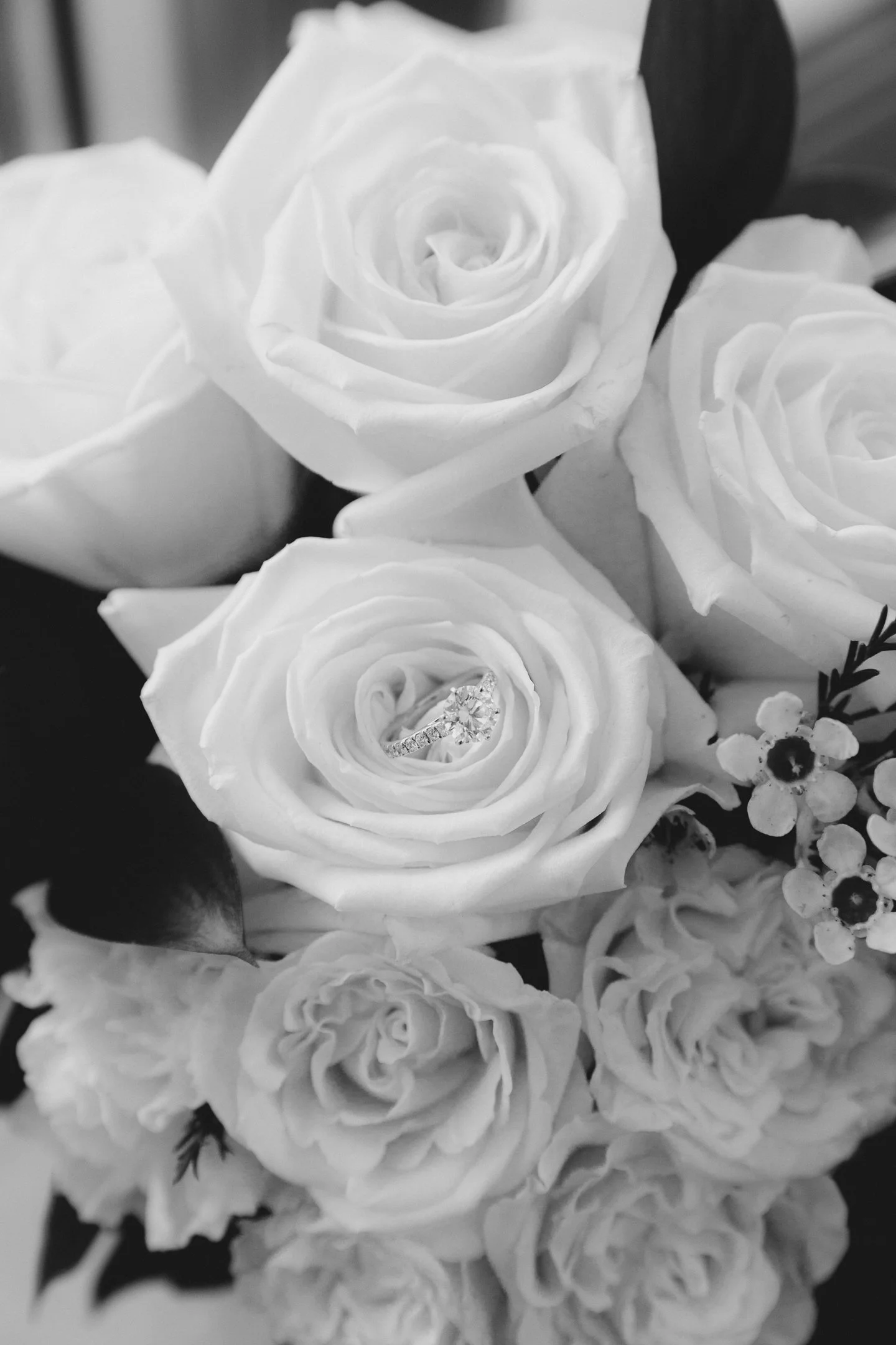 Kellie & Sam Sneak-Peak 2160px-3.jpg