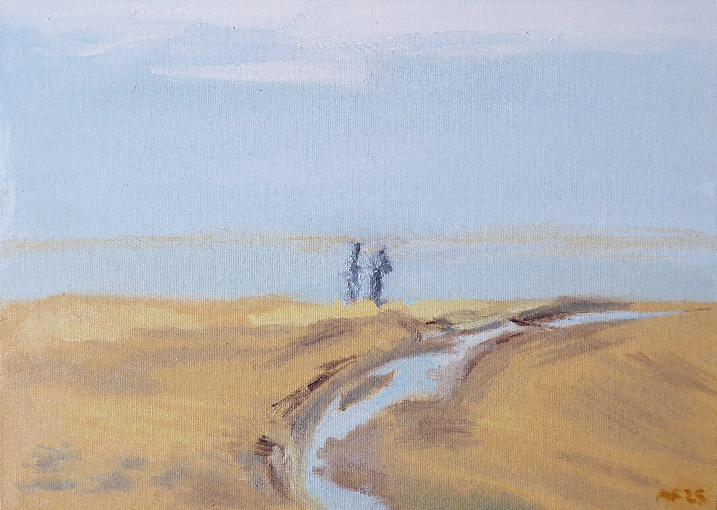 Holkham-Beach-Norfolk.jpg