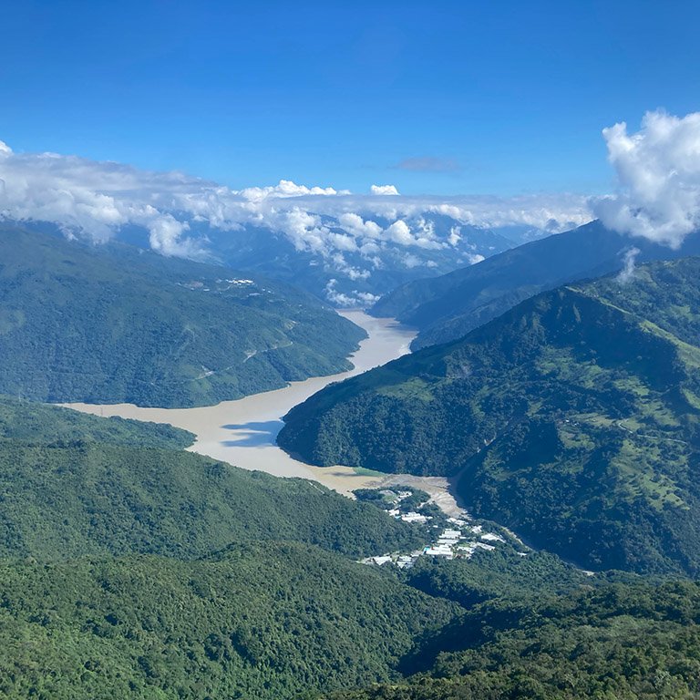 Restoring forests and protecting biodiversity: a case study from the Ituango Hydroelectric Project